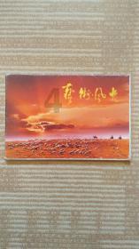 陈仓：鱼缸之外